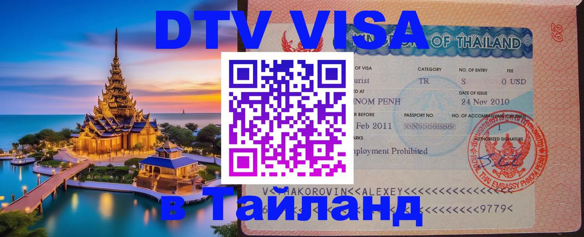 Оформление DTV визы под ключ: стоимость и тарифы, только загранпаспорт - 19.11.2025 